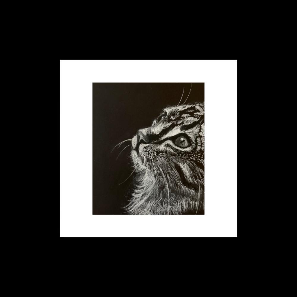 Charcoal Cat Drawing Art Print
