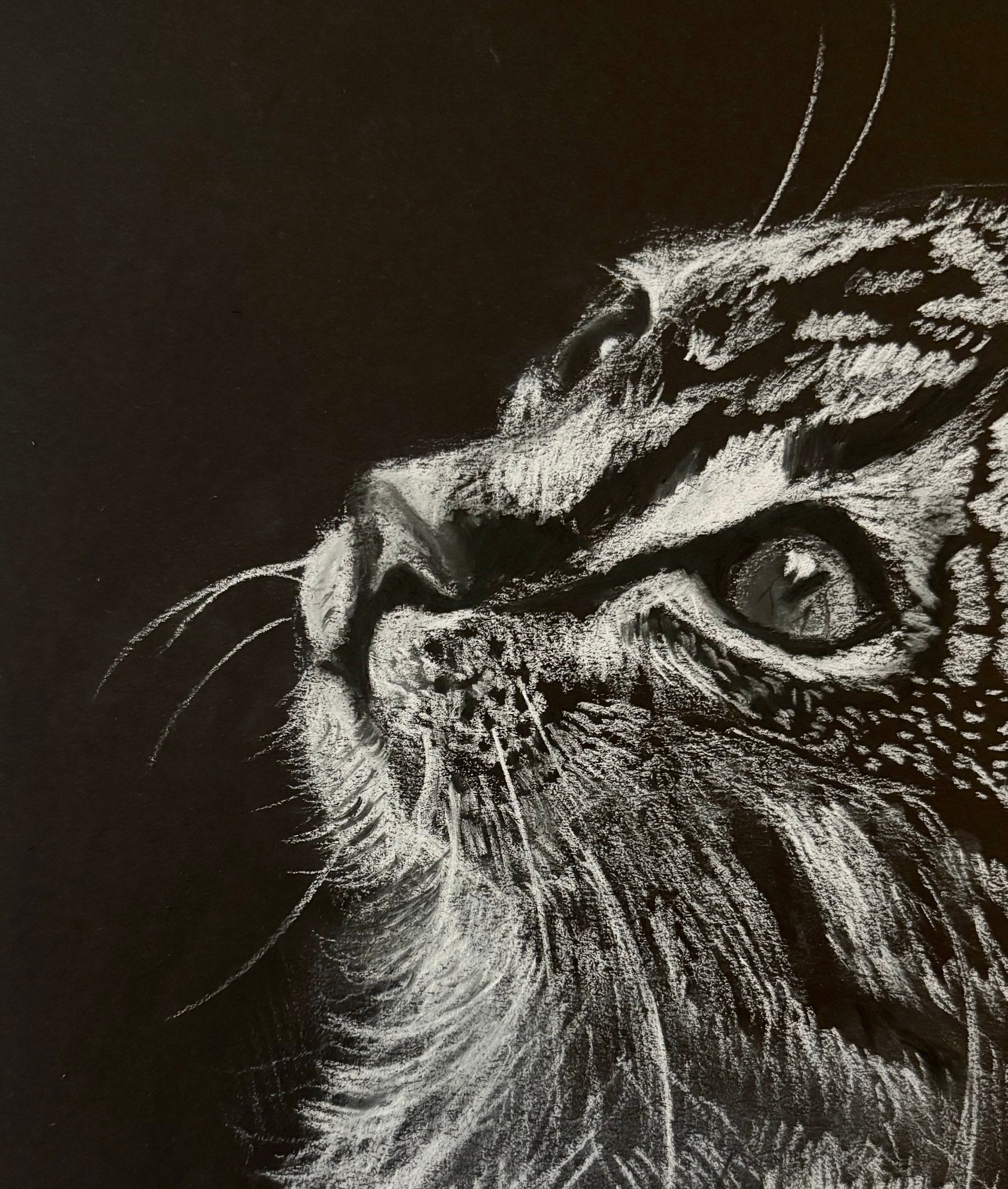 White Charcoal Drawing of Cat