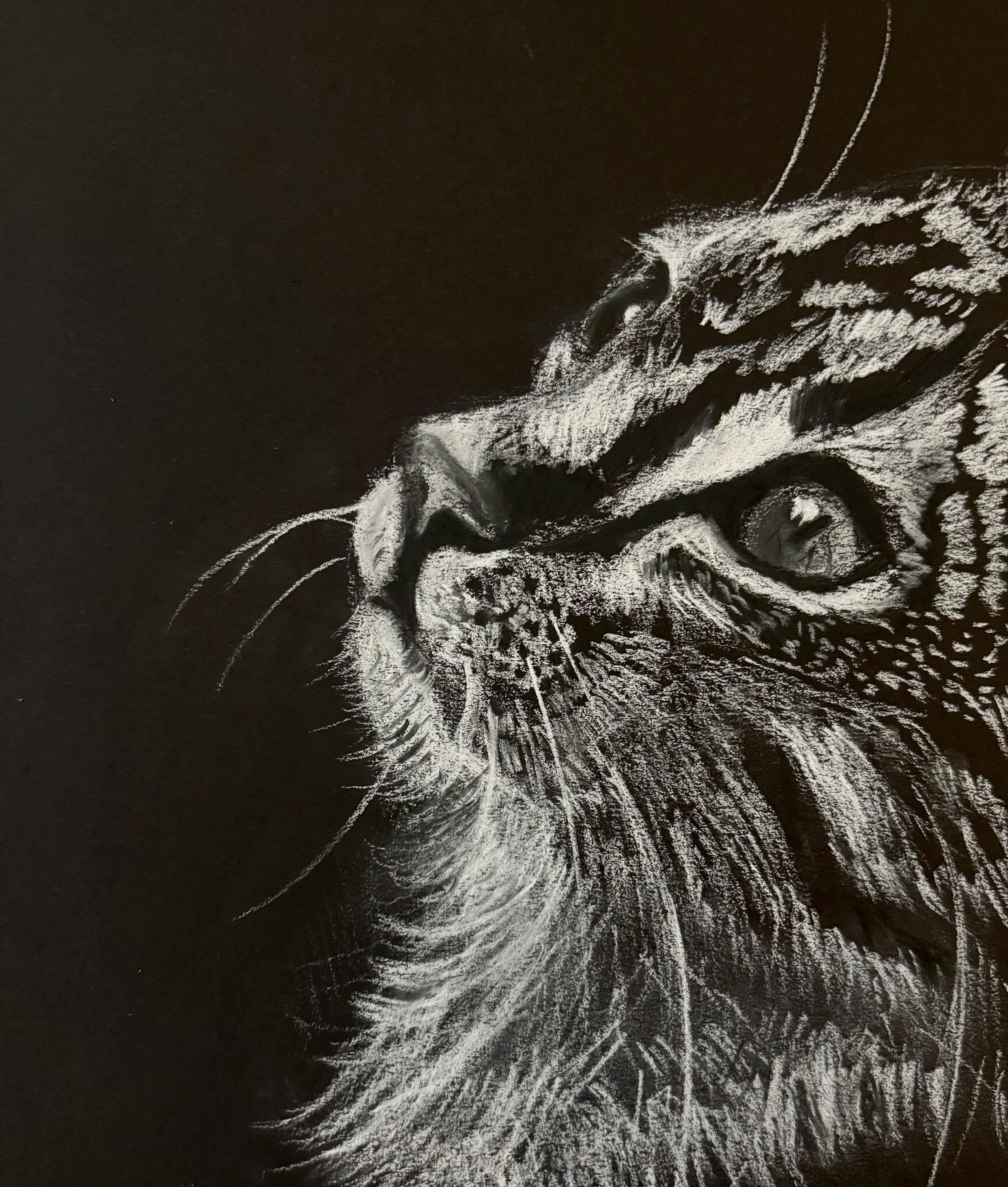 Charcoal Cat Drawing Art Print